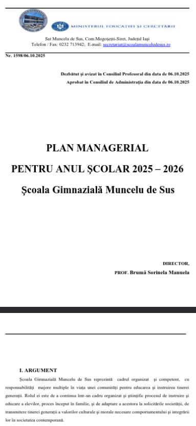 plan managerial